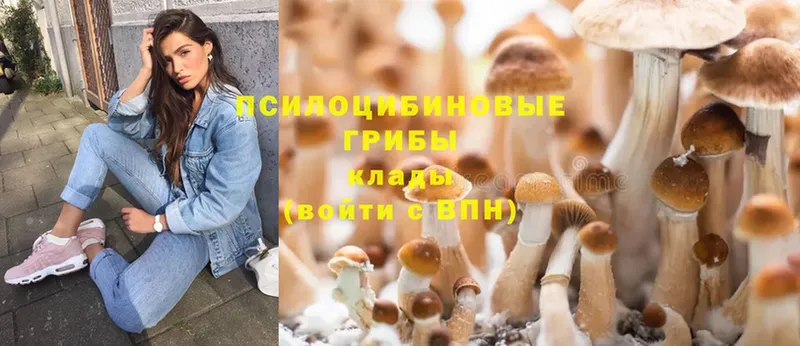 Псилоцибиновые грибы MAGIC MUSHROOMS  Гудермес 